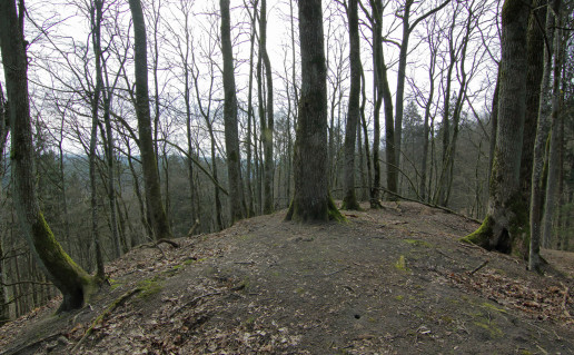 15_NKRP Panemuninku piliakalnis2 (1).jpg